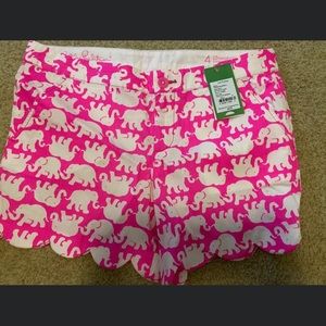 Nwt Tusk in Sun Buttercups. Size 4